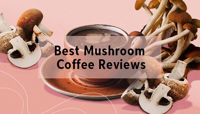 Best Mushroom Coffee Reviews