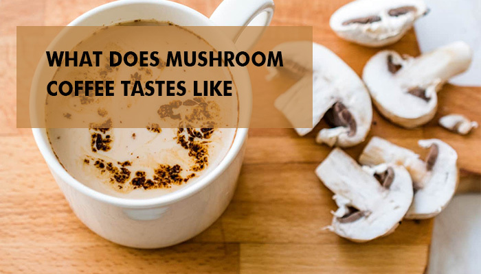 WHAT DOES MUSHROOM COFFEE TASTES LIKE